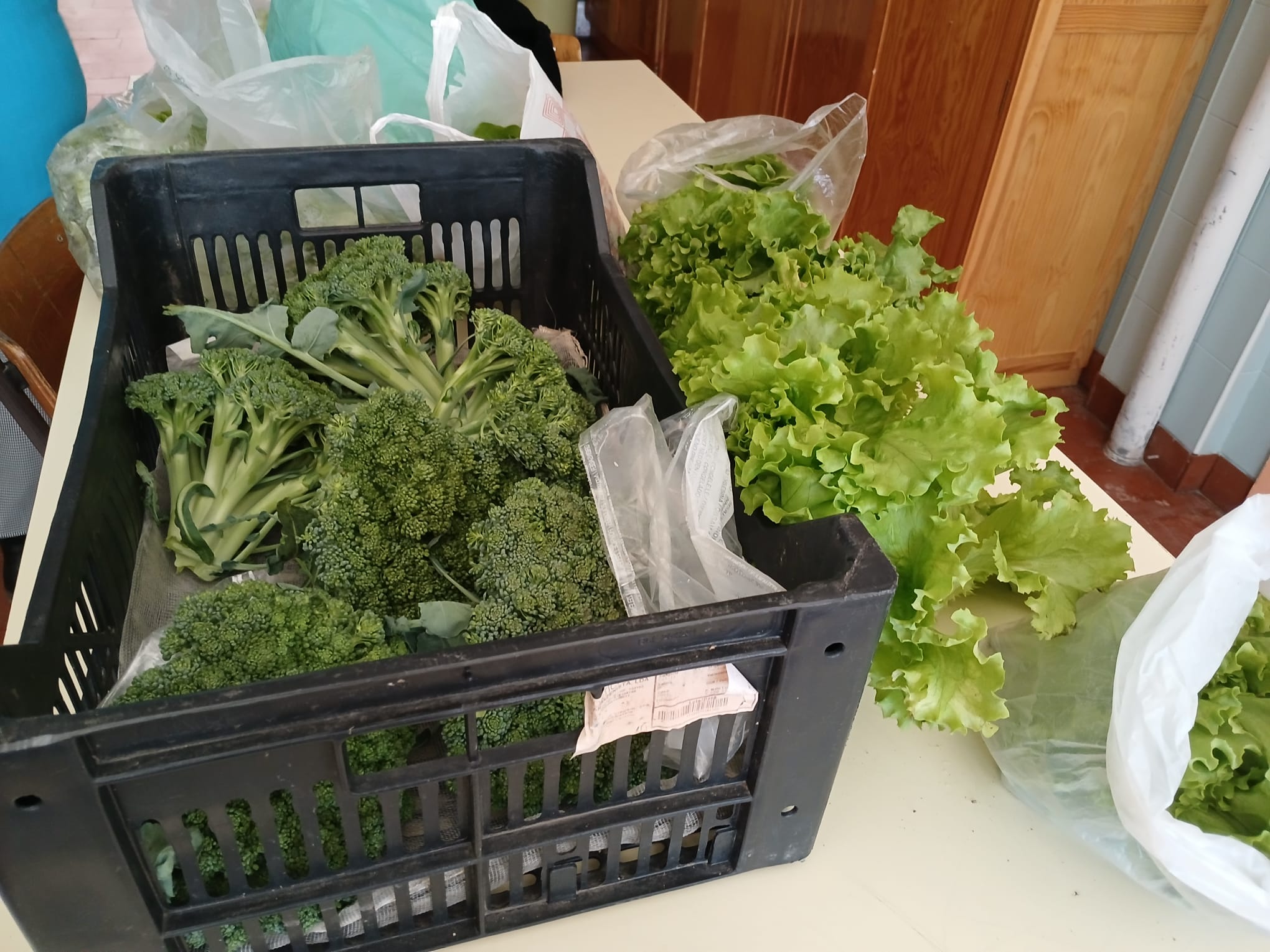 A produtividade dos produtos da horta tem ultrapassado as nossas expetativas e devido à sua qualidade, enquanto produtos biológicos, têm uma elevada procura por parte da comunidade educativa.