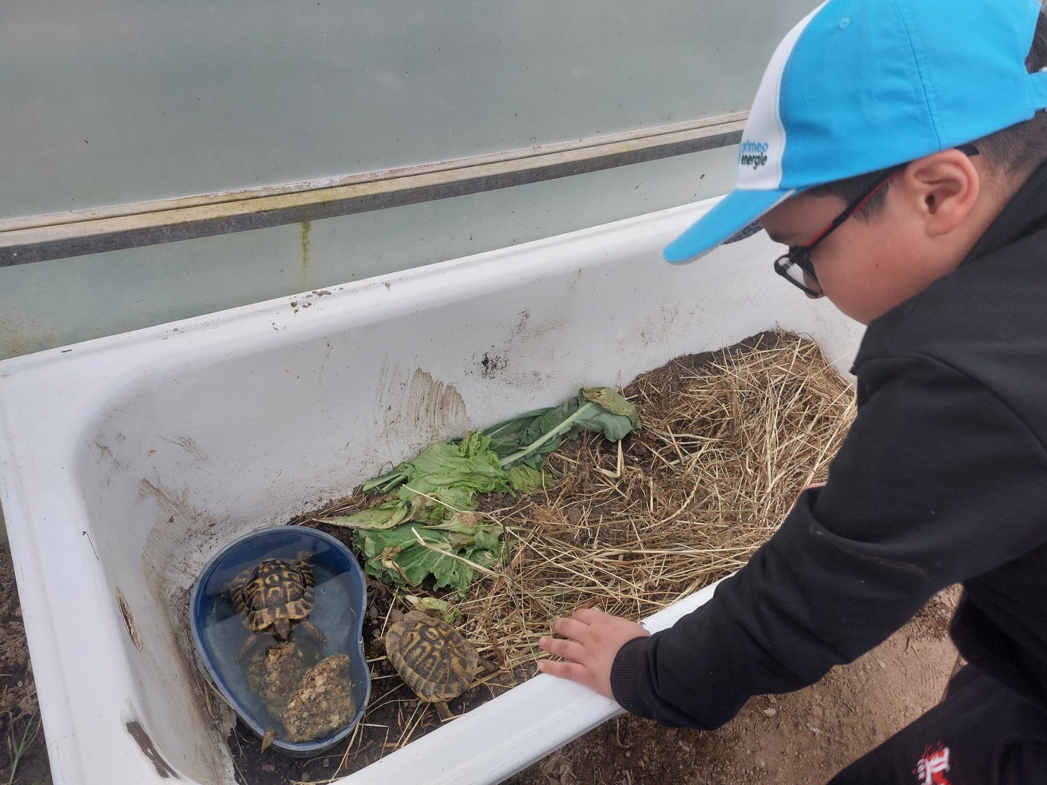 A articulação que tem existido com alguns encarregados de educação tem permitido enriquecer a nossa horta com uma diversidade de plantas, mas também de animais que são acarinhados e cuidados pelos nossos alunos.