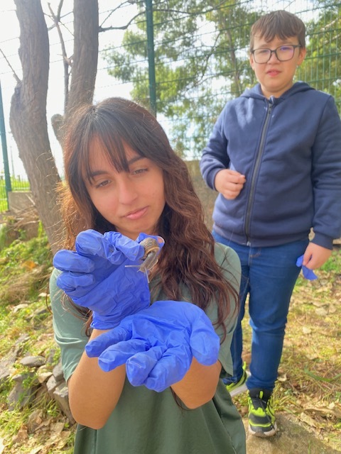 Durante as primeiras sessões de preparação da horta, os alunos encontraram muitas minhocas que cuidadosamente voltavam a colocar no solo.