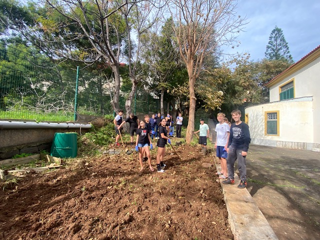 Ao fim, de algumas sessões, o terreno já se encontrava pronto para começar a plantar.