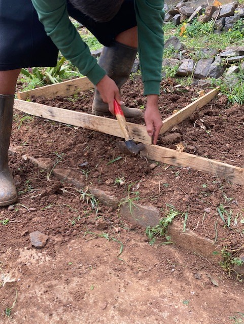 Criar estruturas quadriculadas de madeira (a partir de restos de paletas)