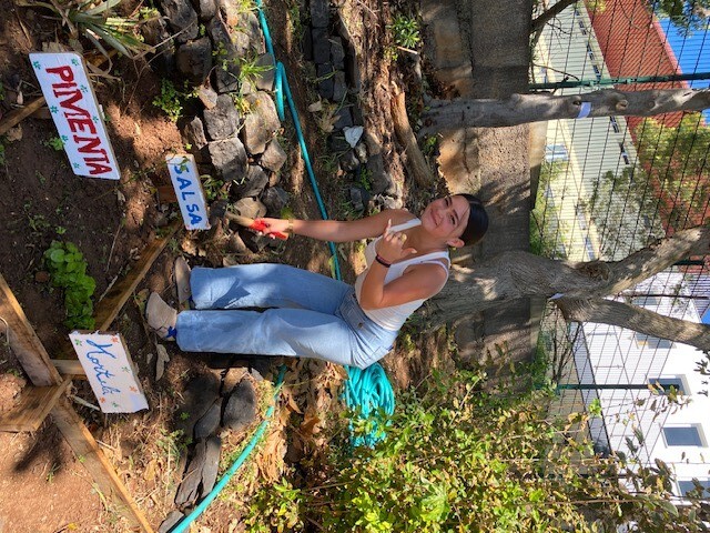 Aluna a colocar as placas identificativas, depois da plantação das respetivas plantas.