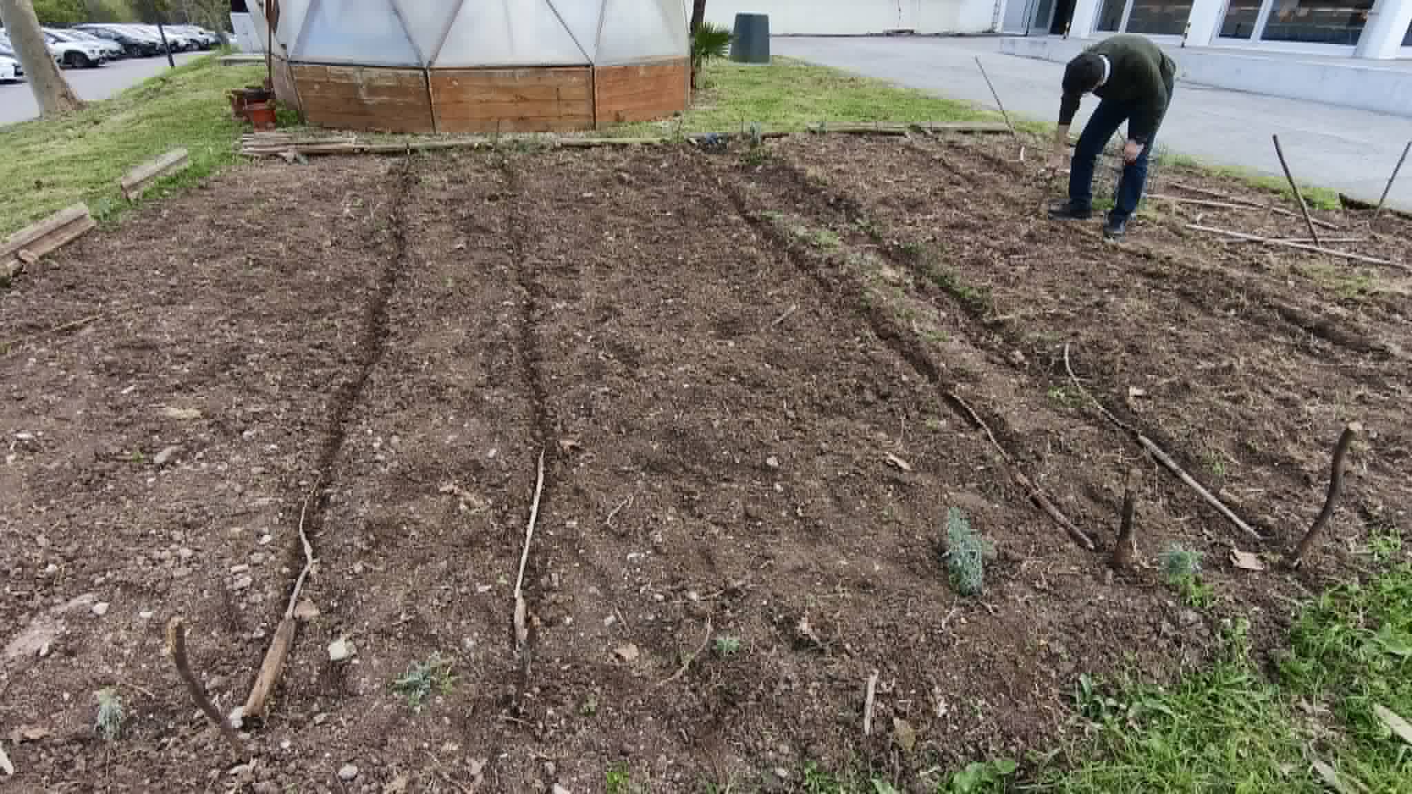Delimitação dos talhóes da horta e os caminhos de circulação