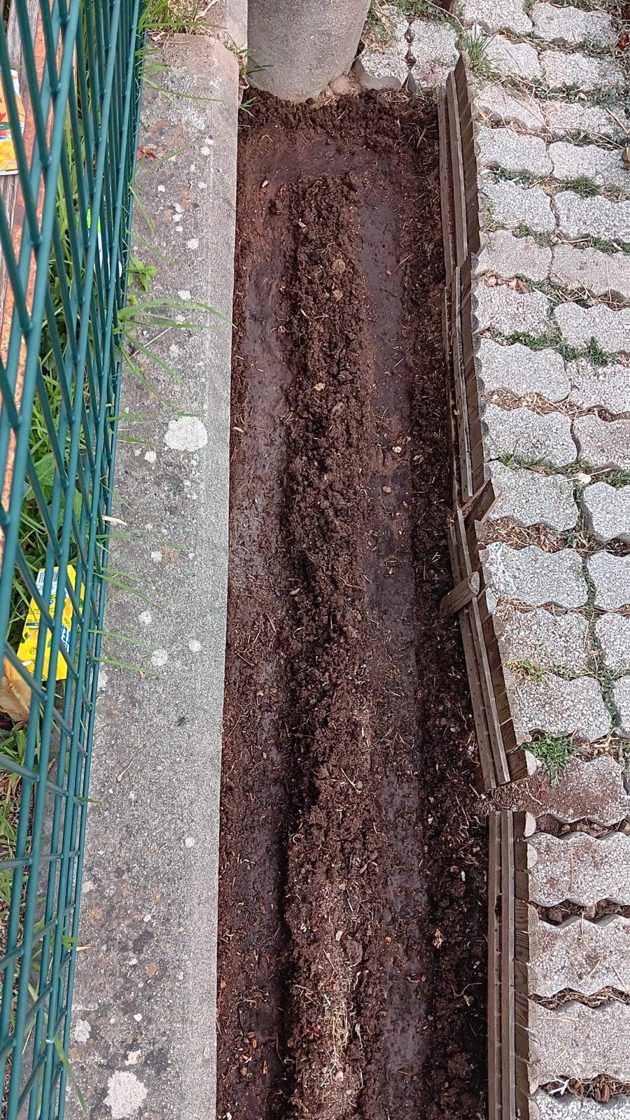 Limpeza de terreno, adubagem e preparação para plantação.