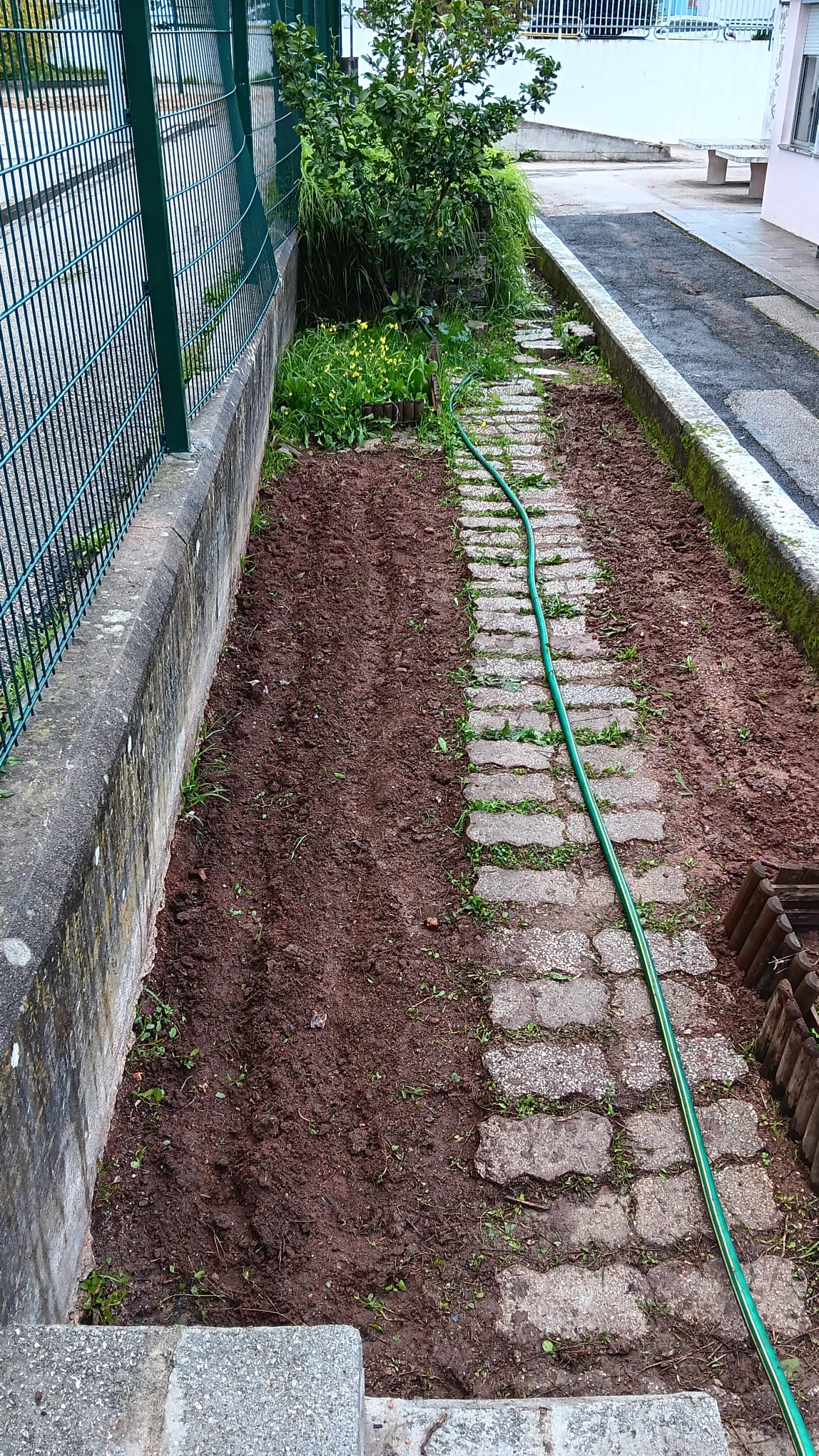 Limpeza de terreno, adubagem e preparação para plantação.