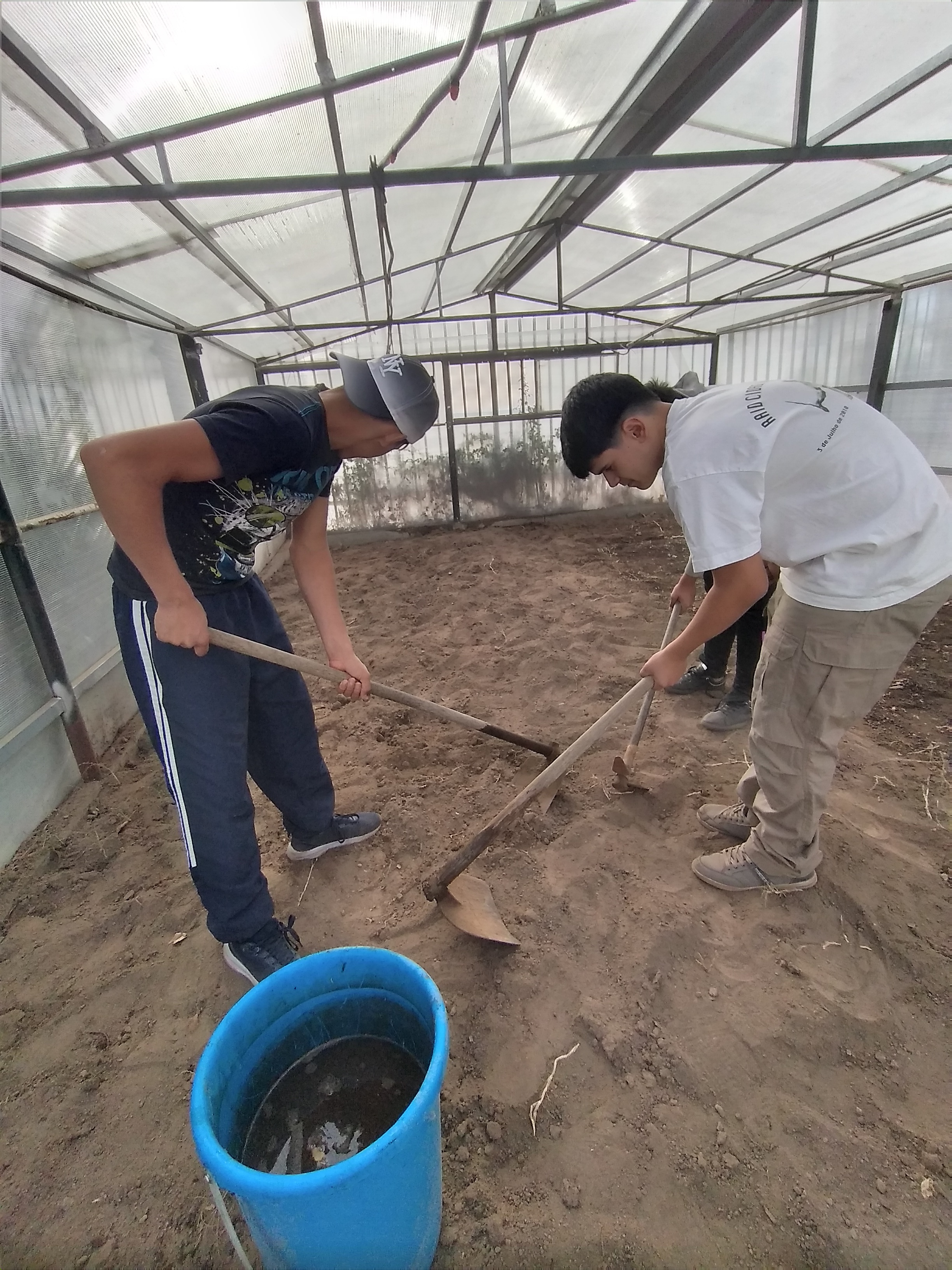 24 setembro - Preparação do solo