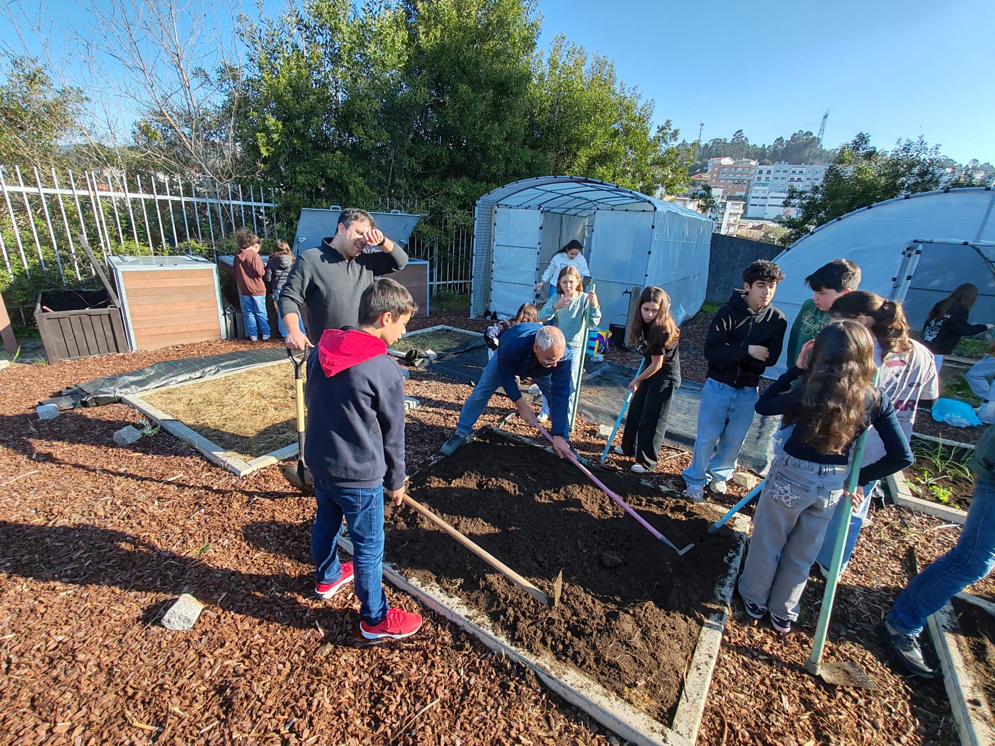 Sementeira e Pantação com o apoio da comunidade. Os pais/EE e familiares dos alunos trouxeram sementes e plantas enraizadas para a horta da escola, ajudaram na respetiva sementeira e plantação e partilharam as técnicas técnicas e procedimentos.