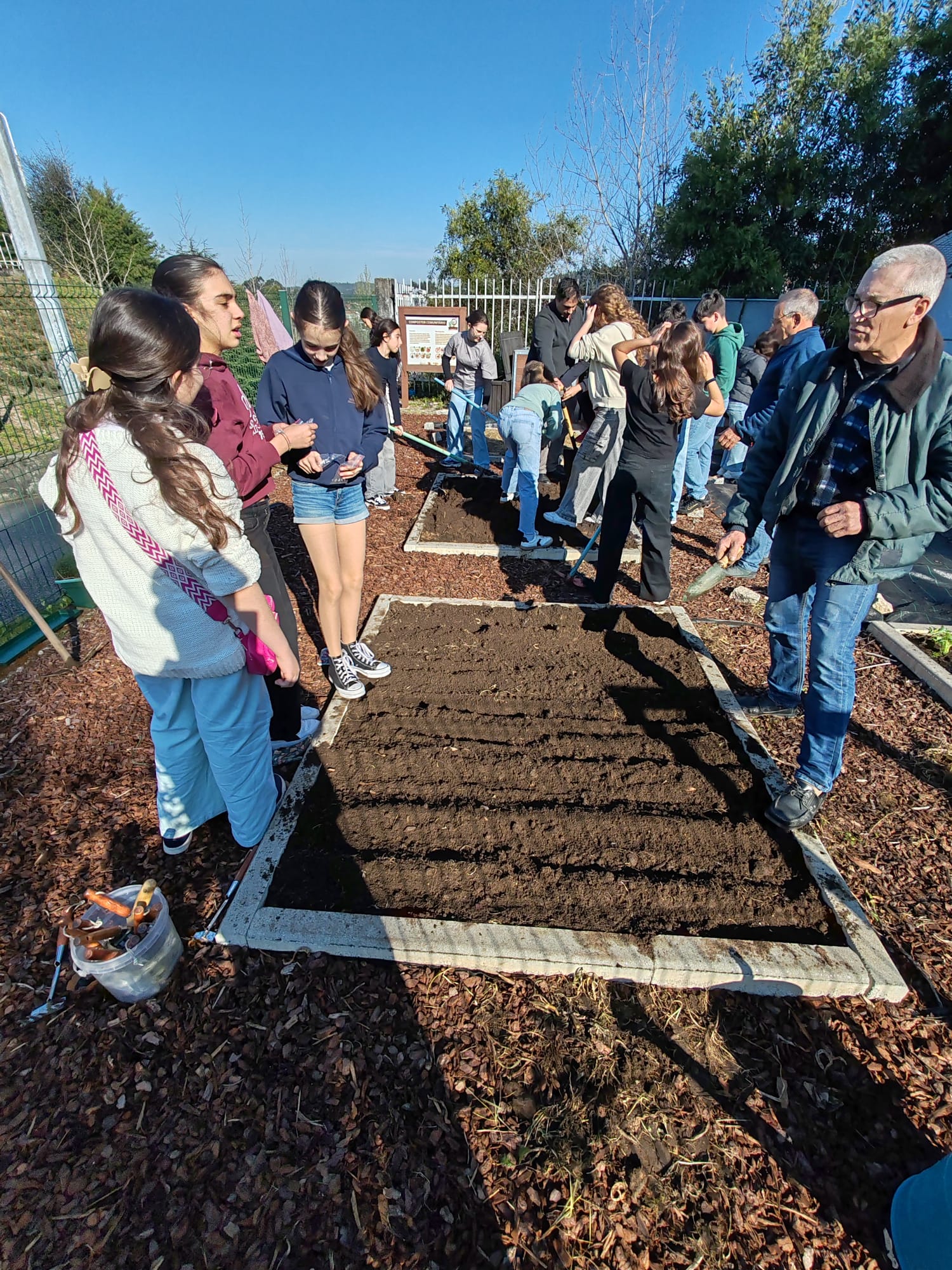 Sementeira e Pantação com o apoio da comunidade. Os pais/EE e familiares dos alunos trouxeram sementes e plantas enraizadas para a horta da escola, ajudaram na respetiva sementeira e plantação e partilharam as técnicas técnicas e procedimentos.
