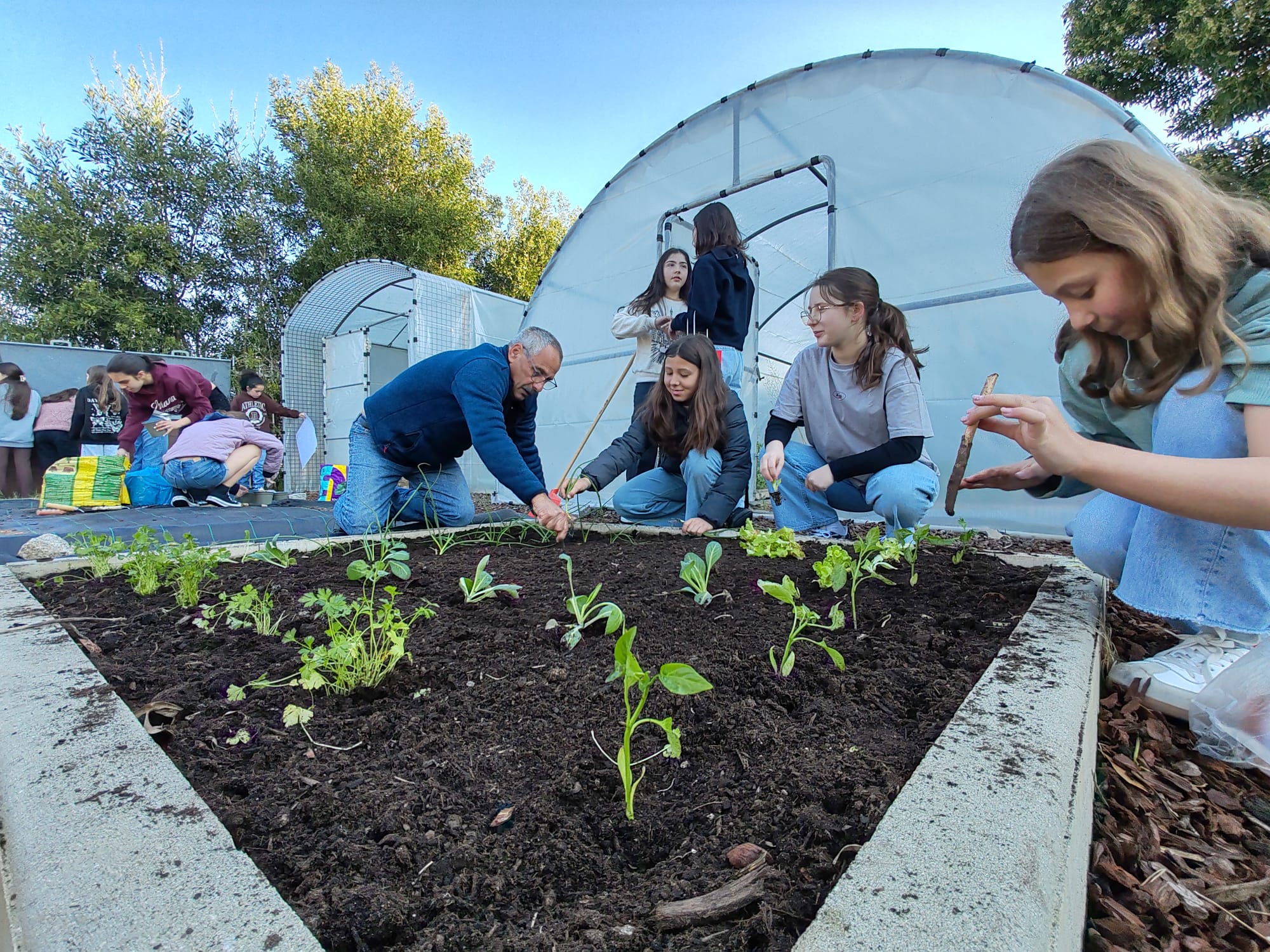 Sementeira e Pantação com o apoio da comunidade. Os pais/EE e familiares dos alunos trouxeram sementes e plantas enraizadas para a horta da escola, ajudaram na respetiva sementeira e plantação e partilharam as técnicas técnicas e procedimentos.