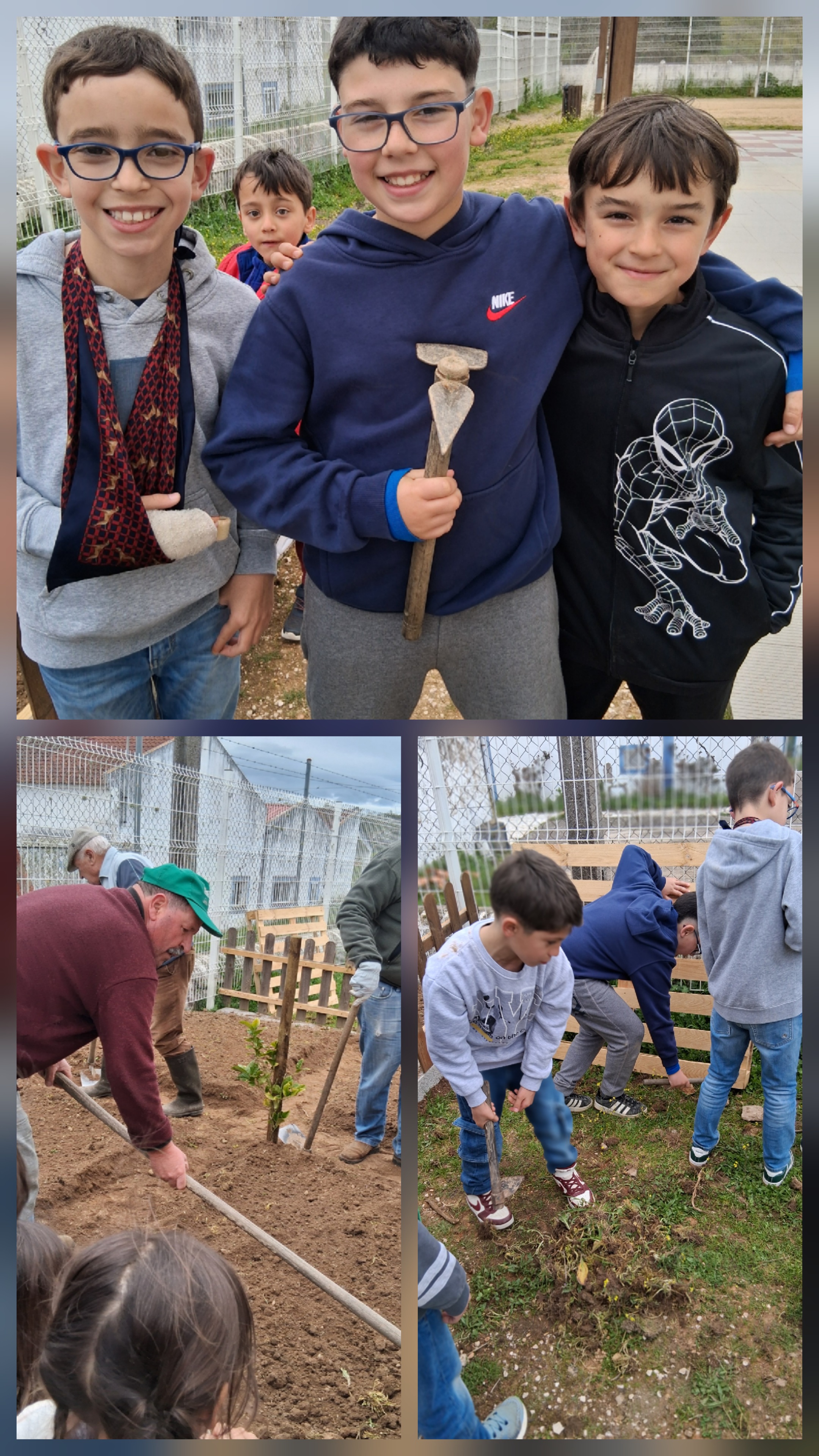 Preparação da terra para receber novas culturas