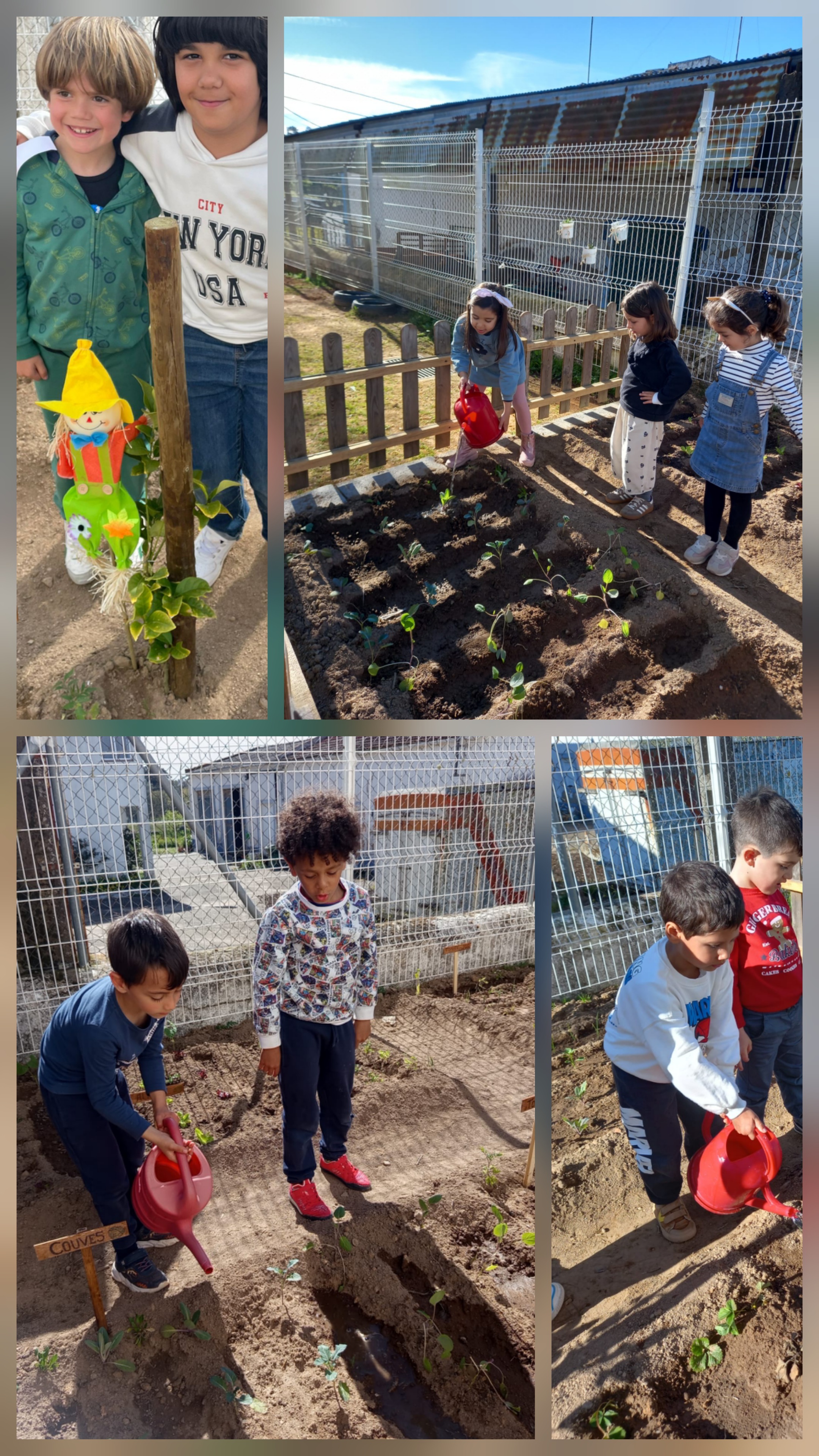 Manutenção da horta: rega/espantalho