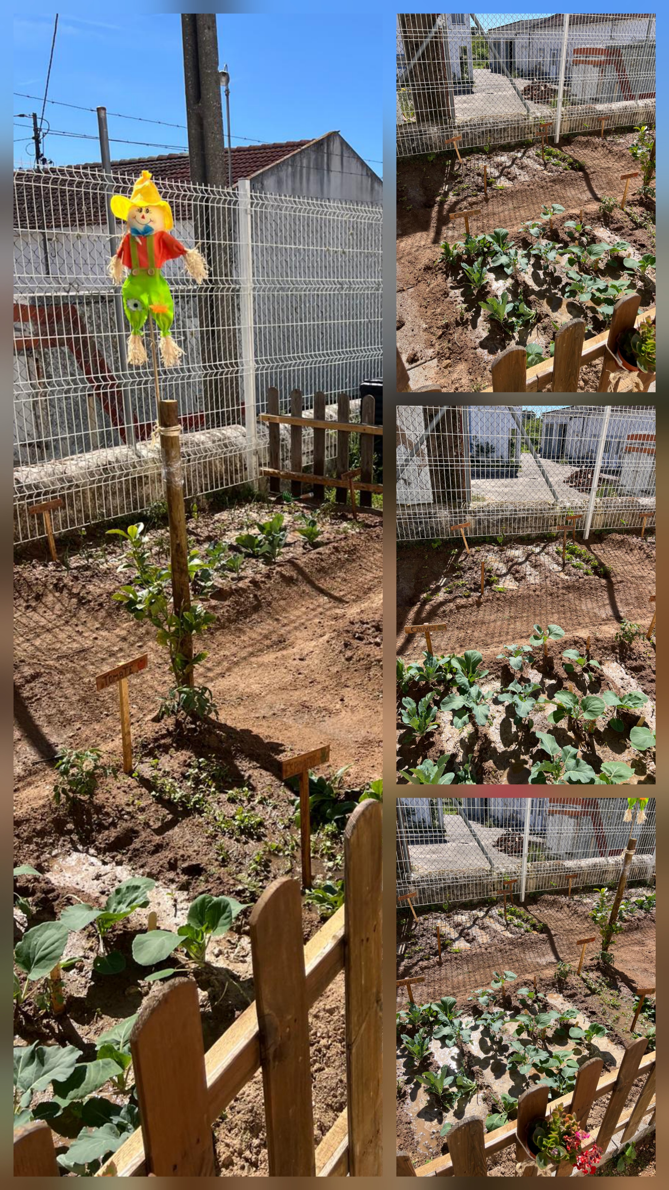 Culturas em desenvolvimento