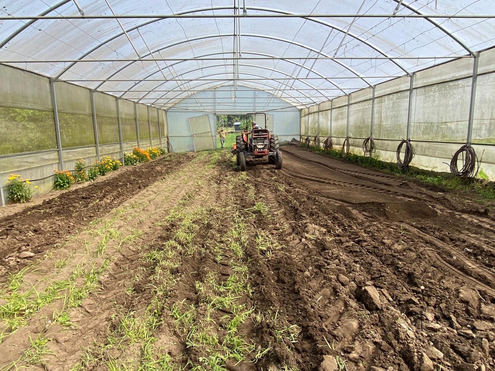 Foto1 - Limpeza e preparação do solo da "Horta Bio" em estufa na nossa escola.