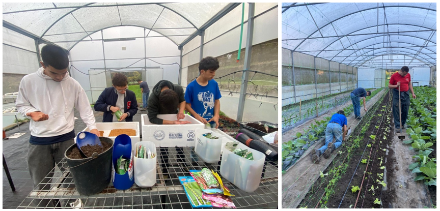 Foto 3 - Sementeira e plantação das culturas hortícolas de outono/inverno.