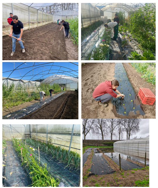 Preparação do solo; instalação de culturas hortícolas de Primavera/Verão; Aspeto da produção de frésias; Plantação de alface  na estufa; estragos causados pelo mau tempo: inundação da nossa espargueira e danos causados na estrutura da nossa estufa.