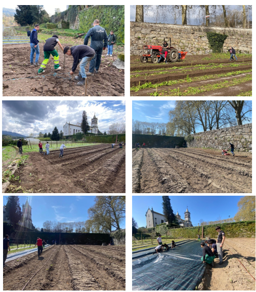 Instalação do cantinho das aromáticas (PAM) da nossa escola: preparação do solo, marcação e armação dos camalhoes, instalação do sistema de rega gota-a-gota, cobertura com tela de forma a controlar as infestantes do espaço.