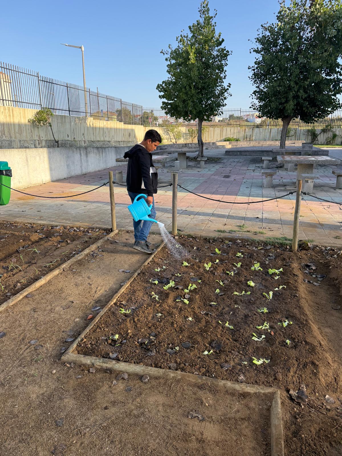 A manutenção da horta com rega efetuada com regador para controlo dos desperdícios da água.