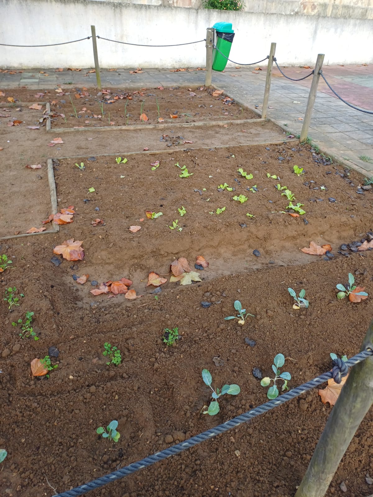 Os produtos a crescerem.