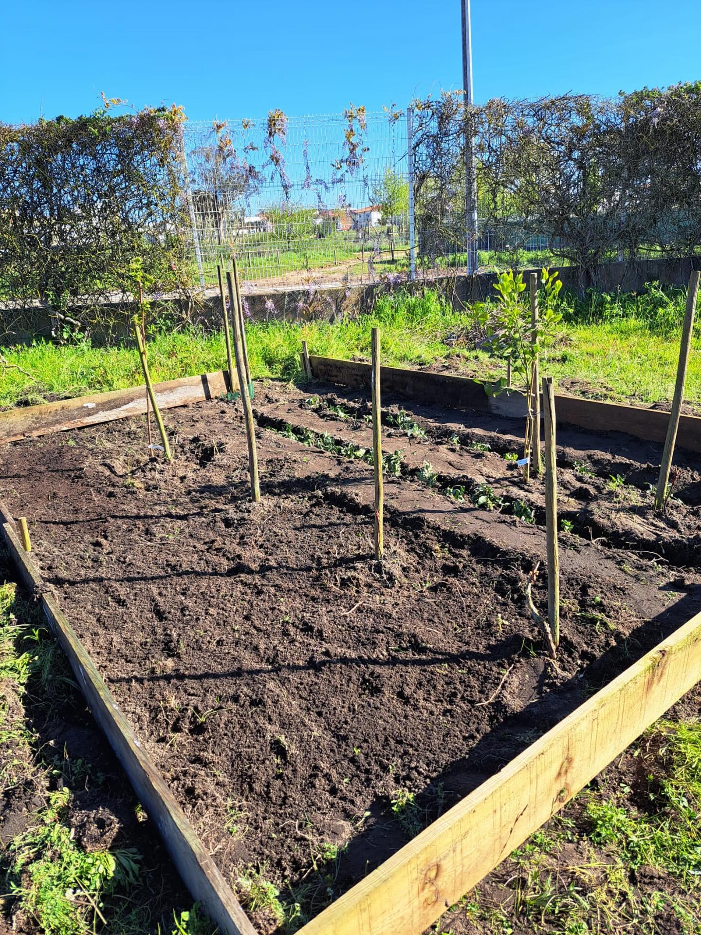 Alargamento e recuperação de uma raised bed