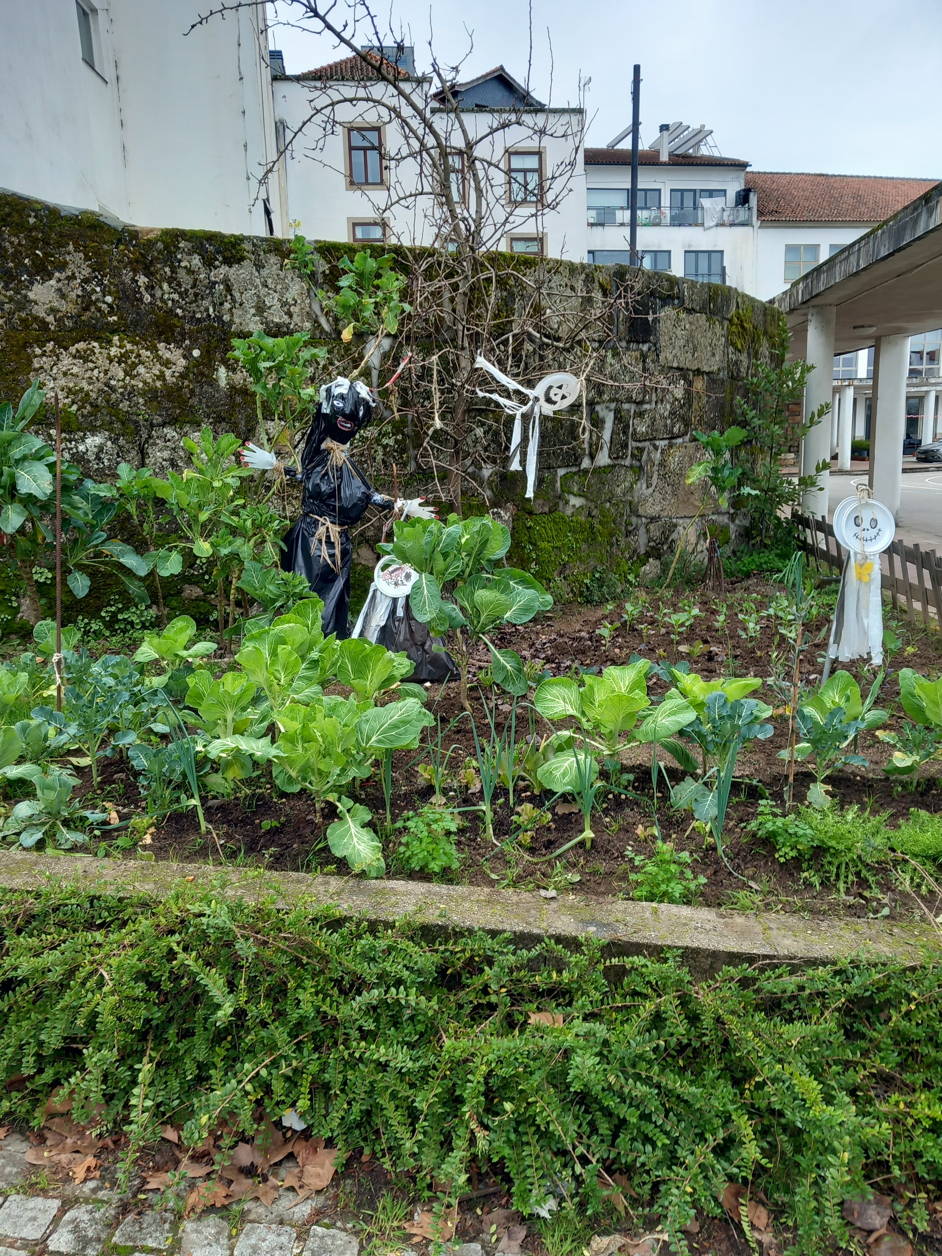 Algumas culturas na horta