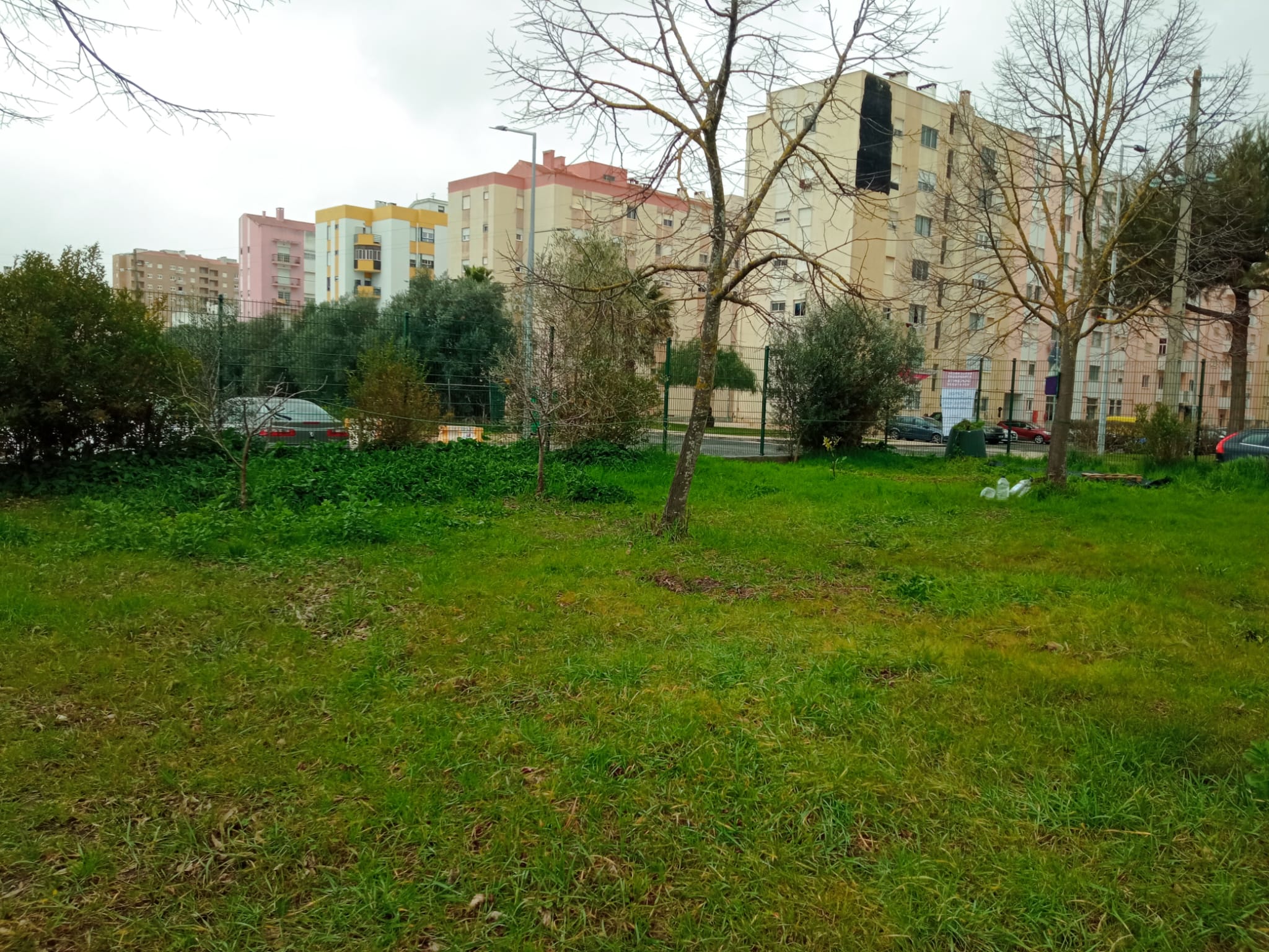 Local escolhido pelos alunos para implementar a Horta Bio