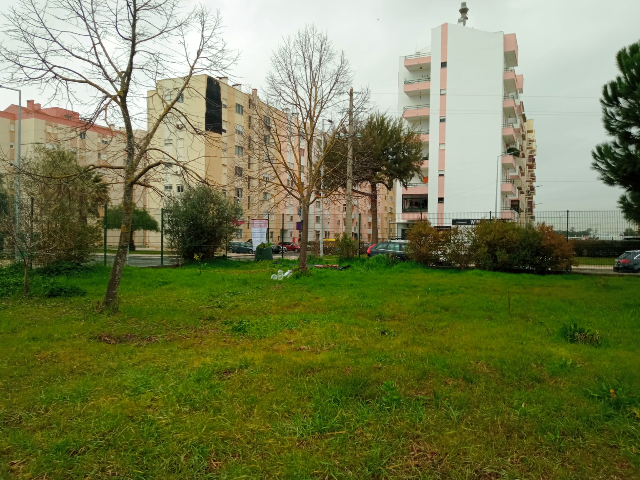 Local para a horta e espaço abrangente.