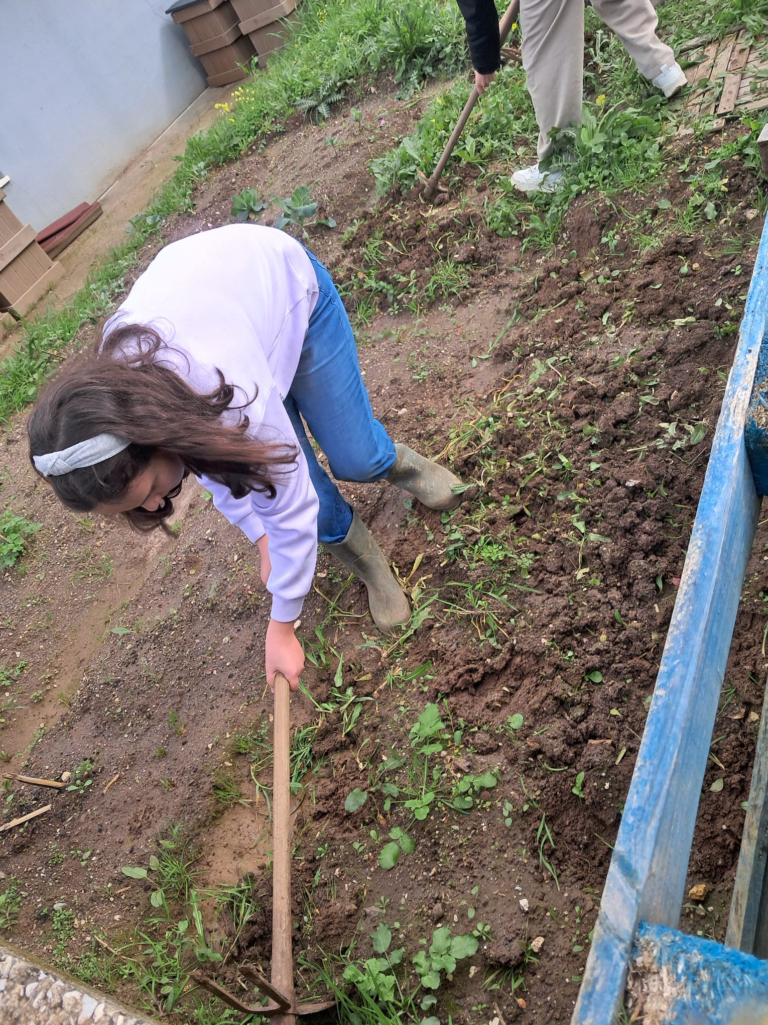 Preparando o terreno