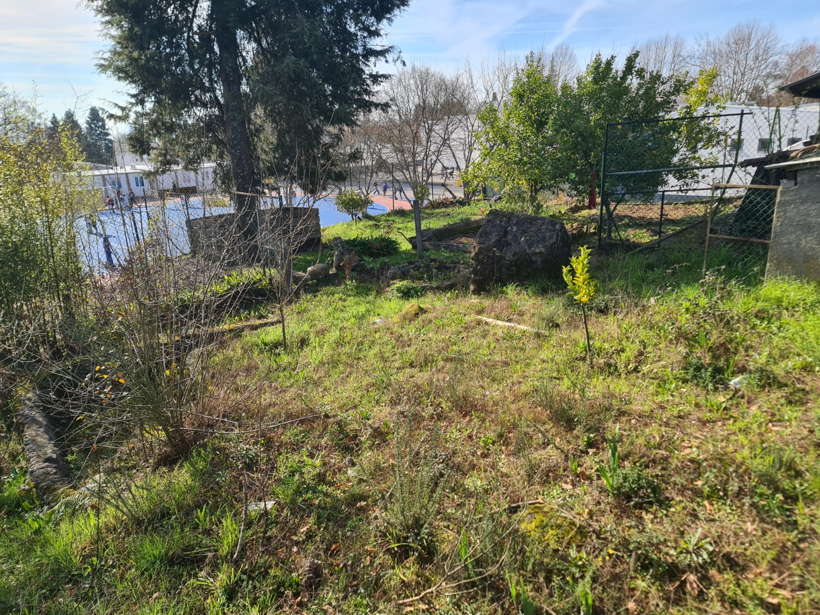 Perspetiva da horta.