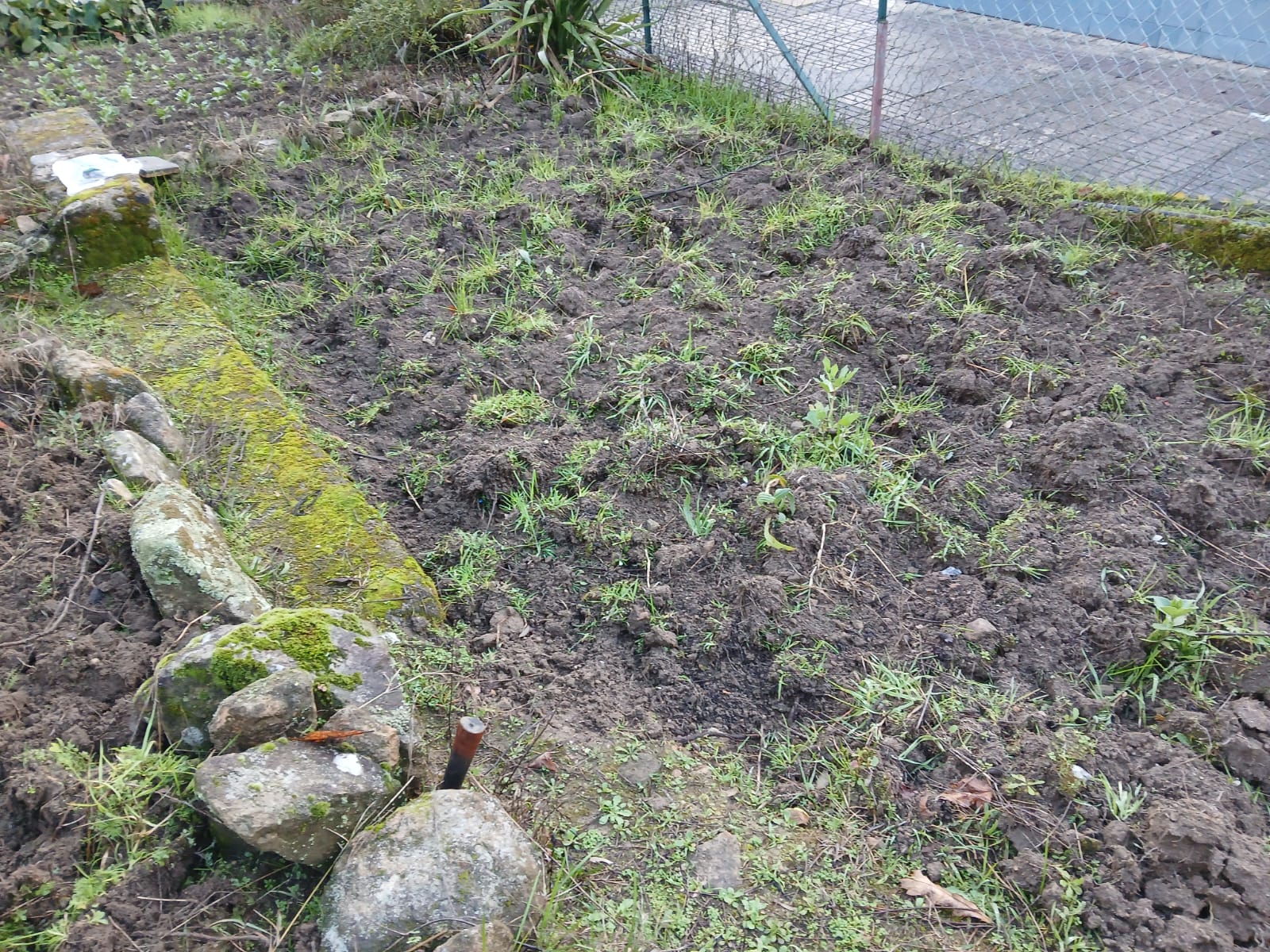 Preparação do terreno da horta.