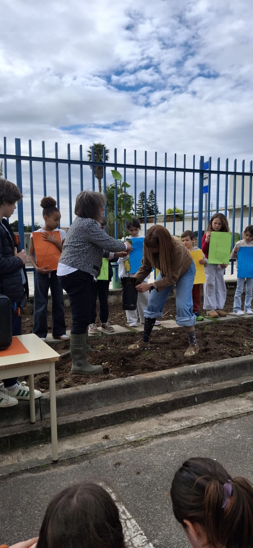 Dia Mundial da Arvore: Hoje plantamos uma árvore, amanhã colhemos um futuro mais sustentável.