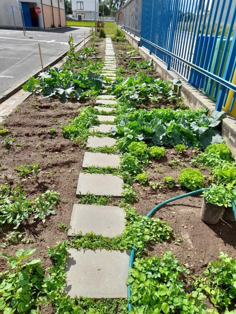 Juntos a Plantar Sustentabilidade!