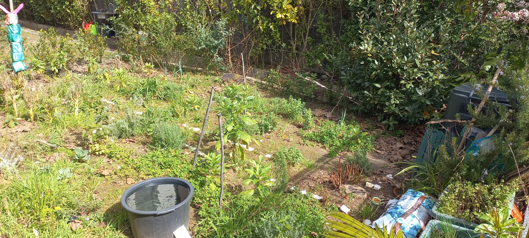 Balde de grandes dimensões que é utilizado para recolher as águas no periodo das chuvas,