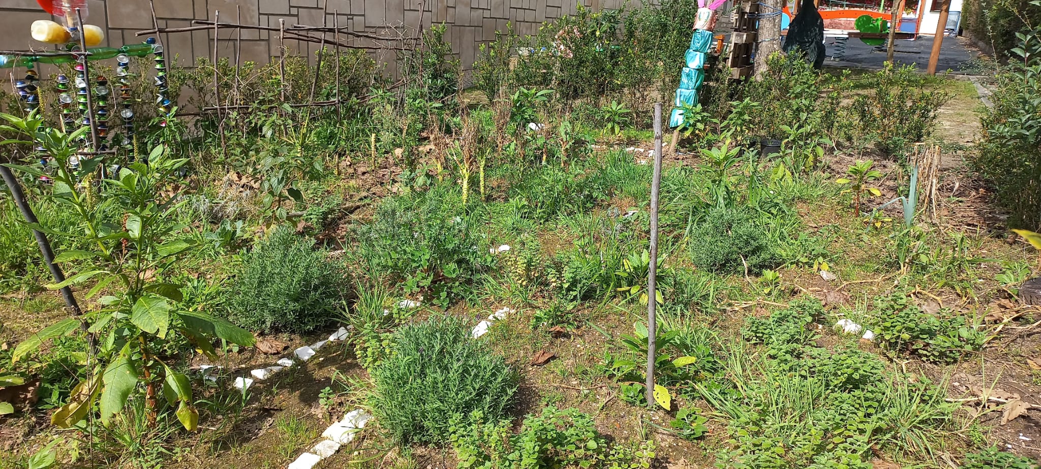 Vista geral da horta onde é possivel ver os dois espantalhos feitos no ano anterior. Estes espantalhos irão ser renovados este ano.