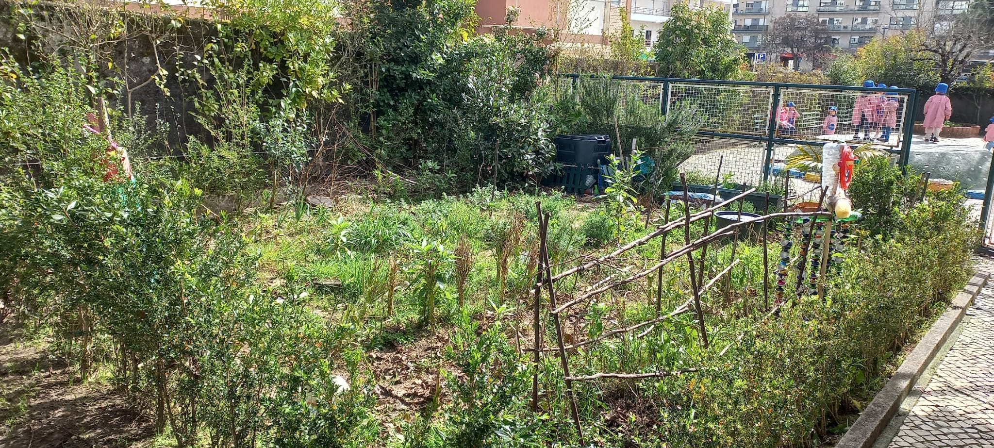 Vista geral da horta onde é possivel ver a horta antes da intervenção e das novas plantações.