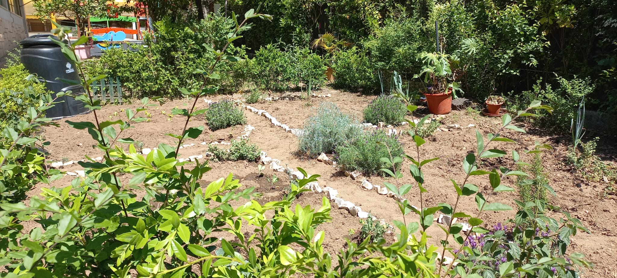 Visão geral da horta após a primeira limpeza e colocação do composto orgânico existente dentro do compostor.