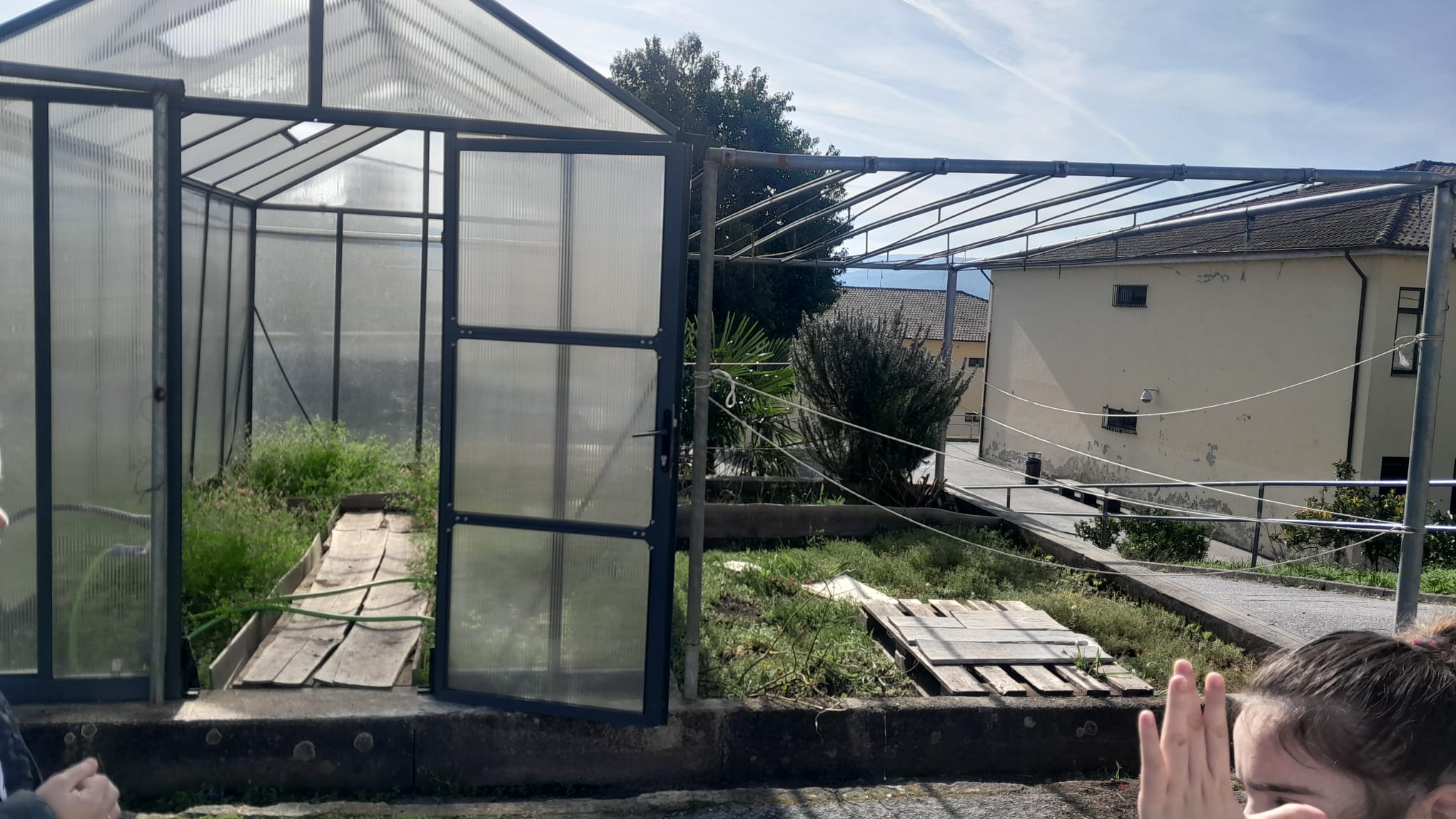 Vista geral do espaço da horta - dentro e fora da estufa.