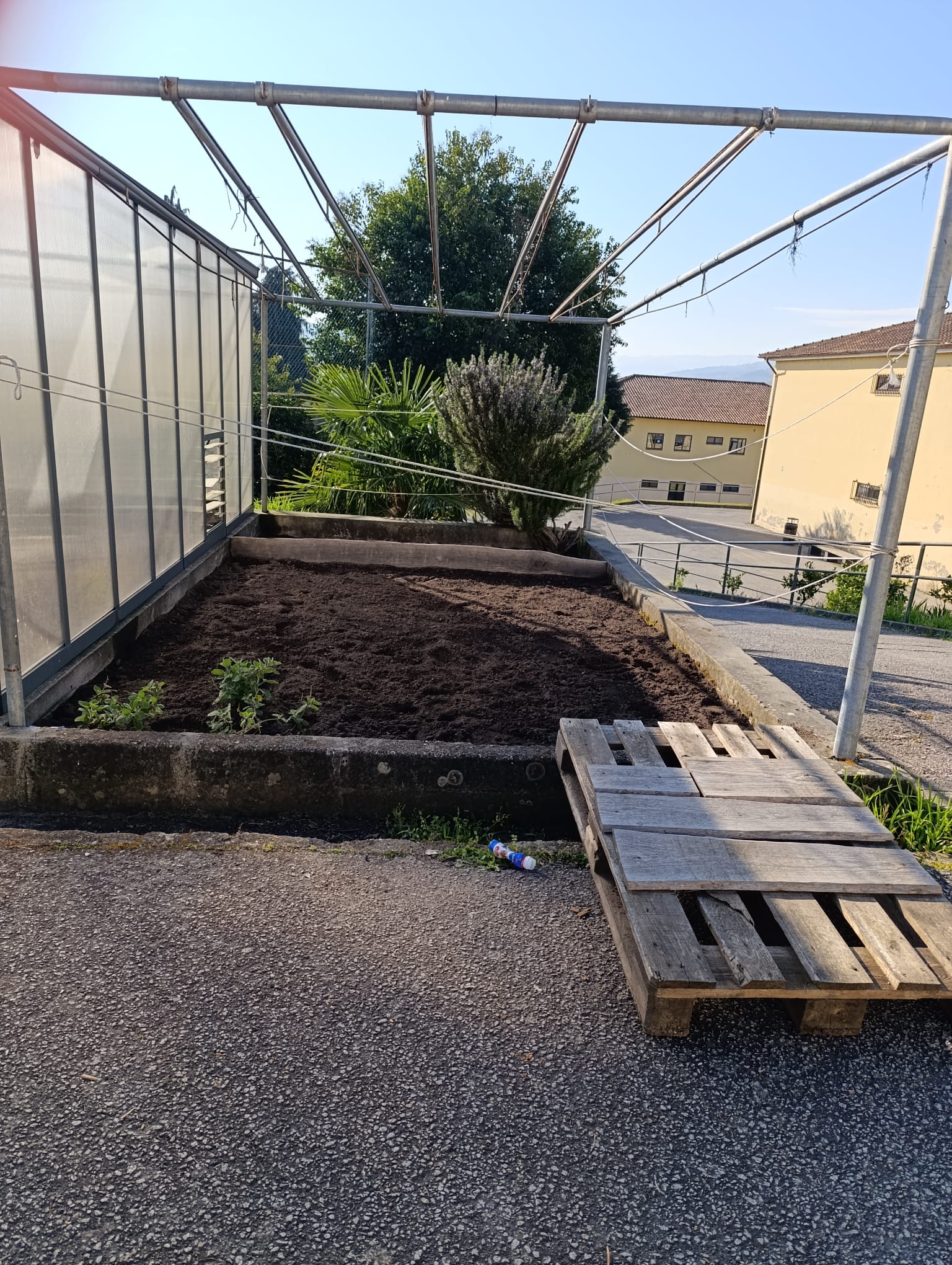 Terreno exterior da estufa preparado