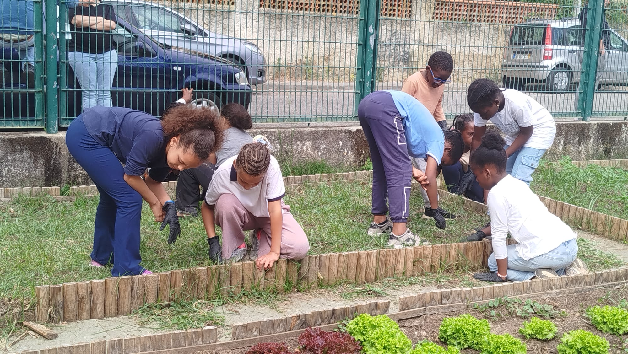 Canteiro em limpeza para mais plantações.
Os alunos aproveitam para conhecer e procurar caracóis, minhocas e outros decompositores.
