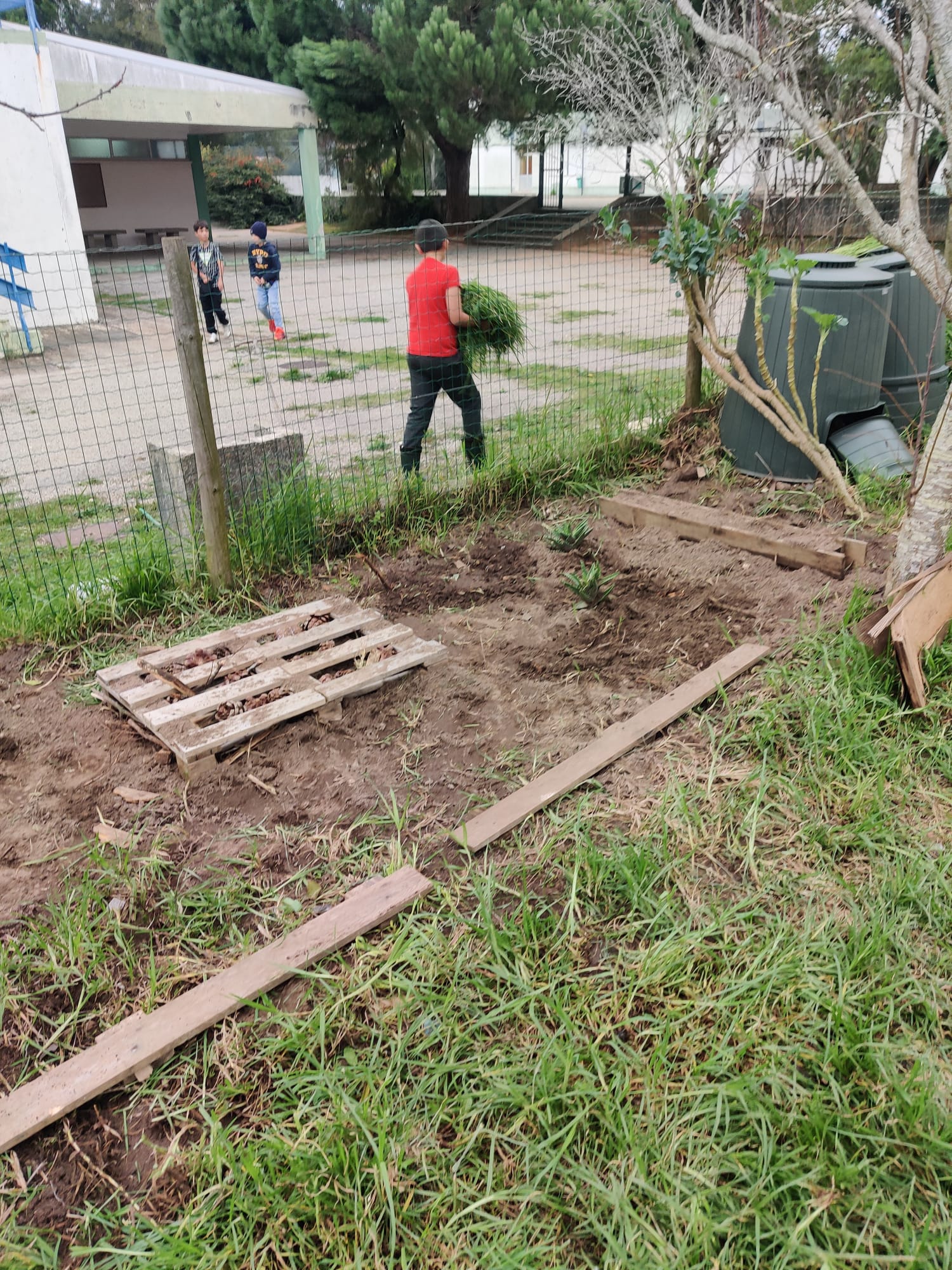 Ar livre - Preparação de novo canteiro para instalação de ervas aromáticas