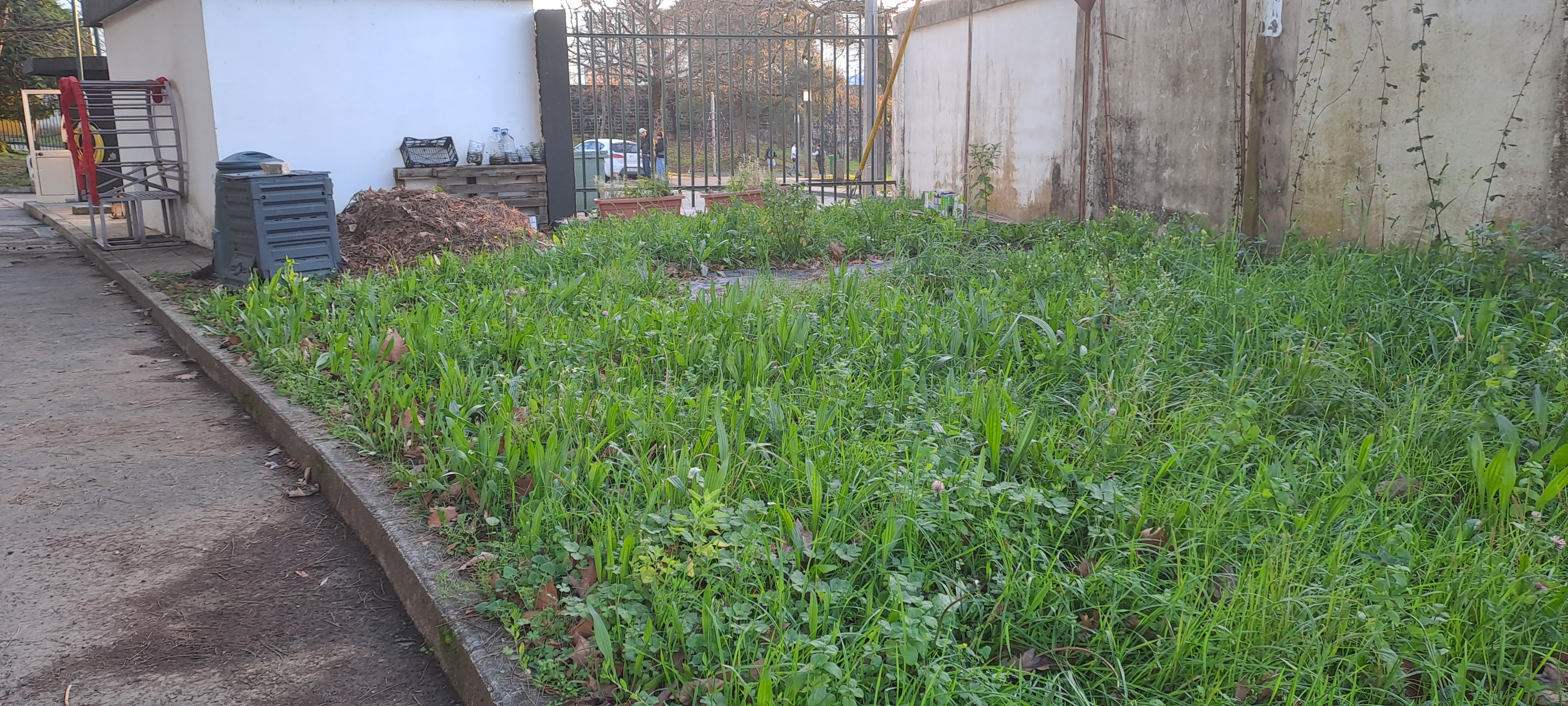 Espaço destinado à construção da horta.