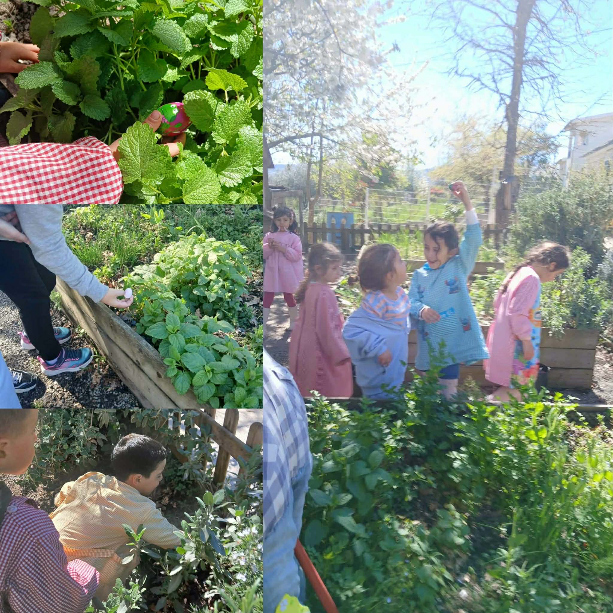 Caça ao ovo, na horta.
