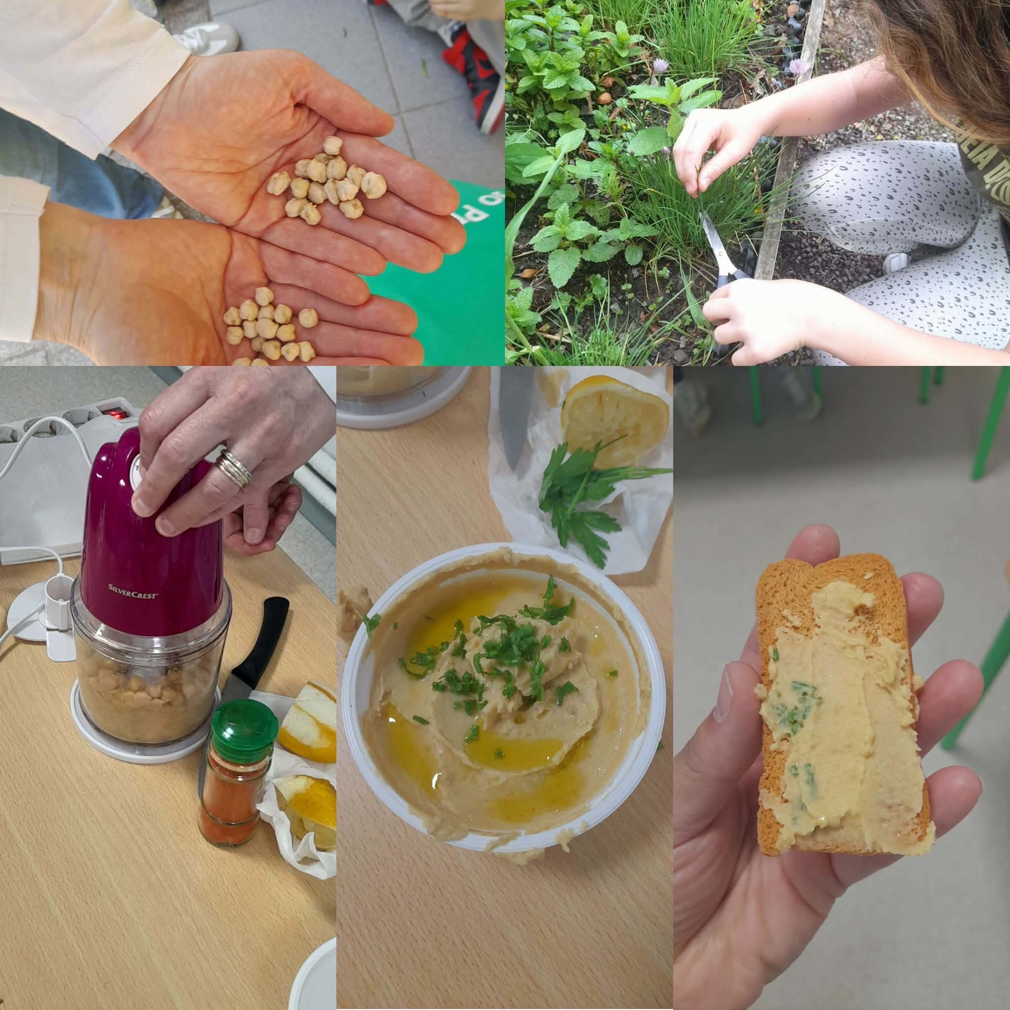 Dia da Mãe- Humus de grão-de -bico